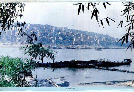 《忠县志》.pdf电子版_重庆市志预览图3