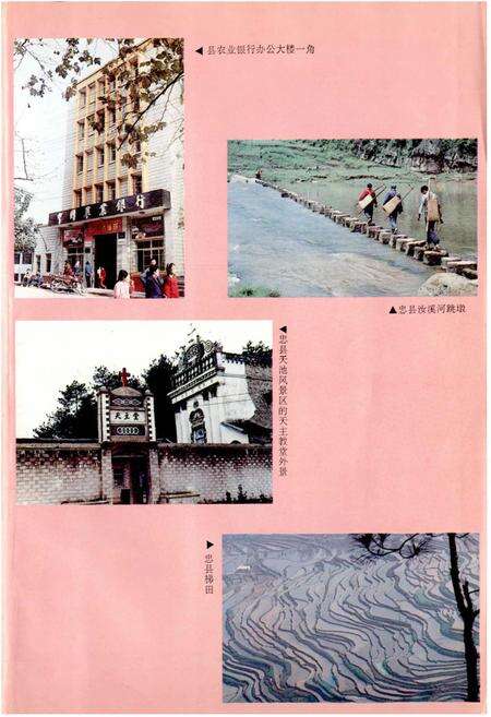 《忠县志》.pdf电子版_重庆市志预览图5