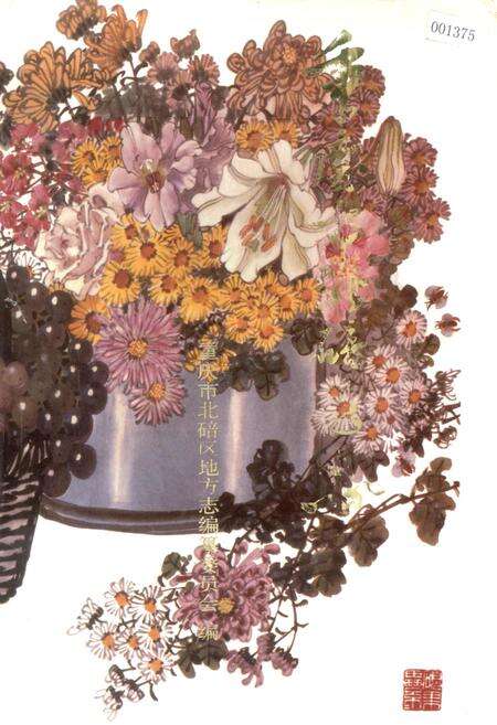 《重庆市北碚区志》.pdf电子版_重庆市志缩略图