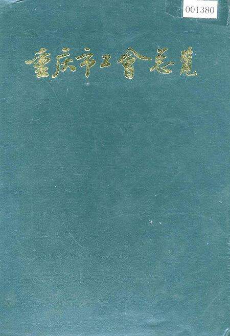 《重庆市工会总览》.pdf电子版_重庆市志缩略图