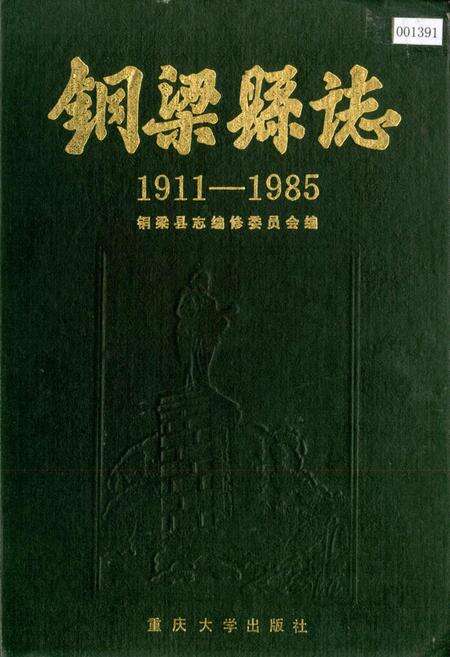 《铜梁县志》.pdf电子版_重庆市志缩略图
