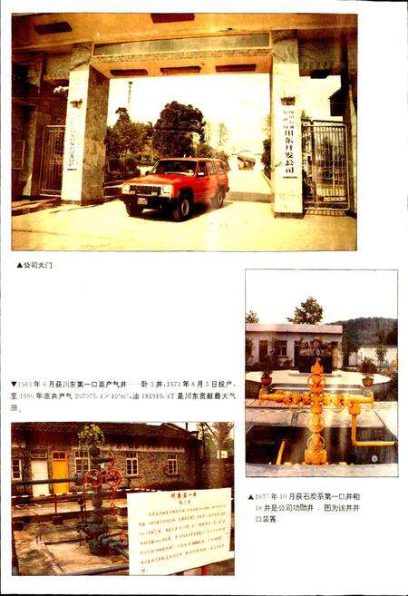 《四川省石油管理局川东开发公司志》.pdf电子版_重庆市志预览图4