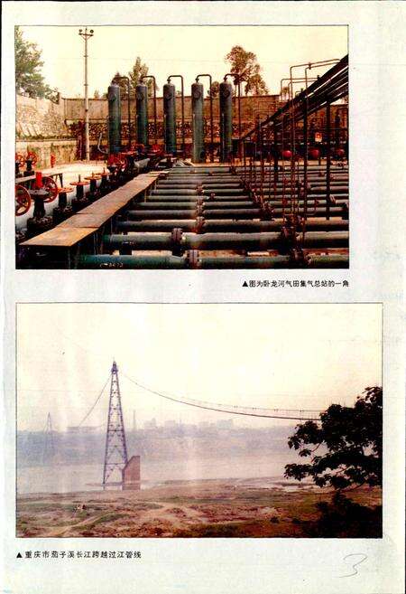 《四川省石油管理局川东开发公司志》.pdf电子版_重庆市志预览图5