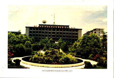 《四川省石油管理局川东钻探公司志》.pdf电子版_重庆市志预览图2