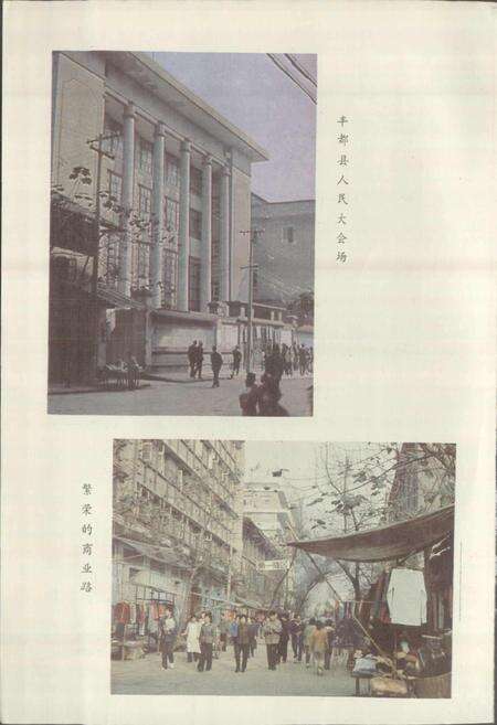 《四川省丰都县地名录》.pdf电子版_重庆市志预览图5