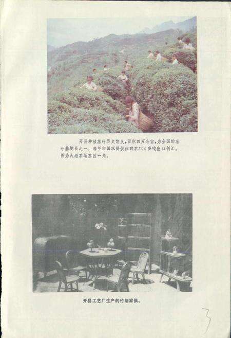 《四川省开县地名录》.pdf电子版_重庆市志预览图4