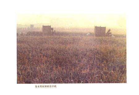 《四川省大足县地名录》.pdf电子版_重庆市志预览图3