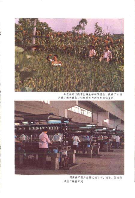 《四川省铜梁县地名录》.pdf电子版_重庆市志预览图2