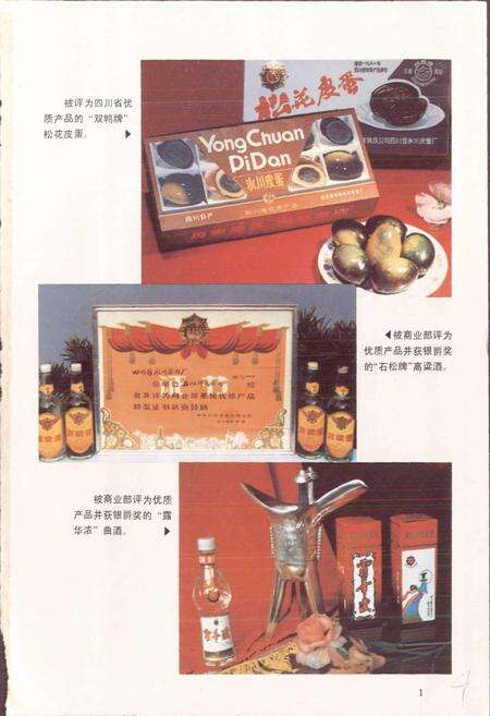 《四川省永川县地名录》.pdf电子版_重庆市志预览图2