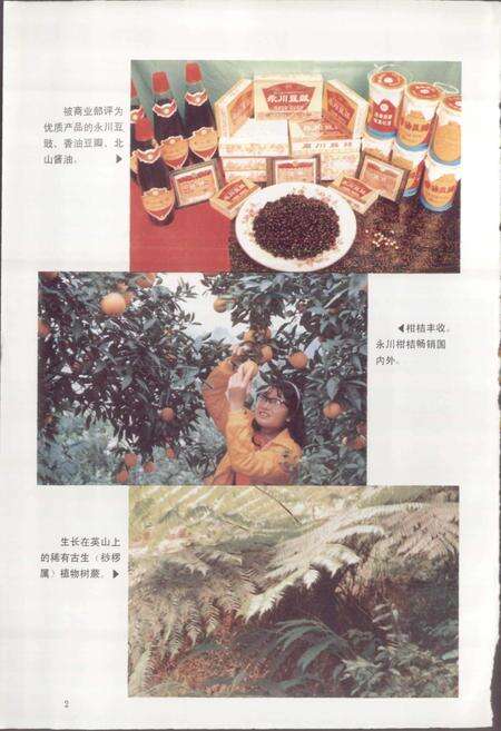 《四川省永川县地名录》.pdf电子版_重庆市志预览图3