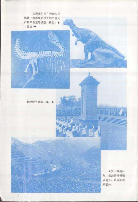 《四川省永川县地名录》.pdf电子版_重庆市志预览图5