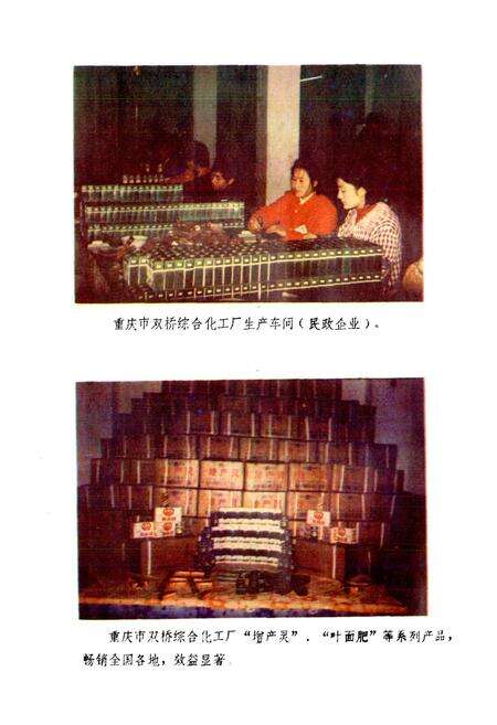 《四川省重庆市双桥区地名录》.pdf电子版_重庆市志预览图5