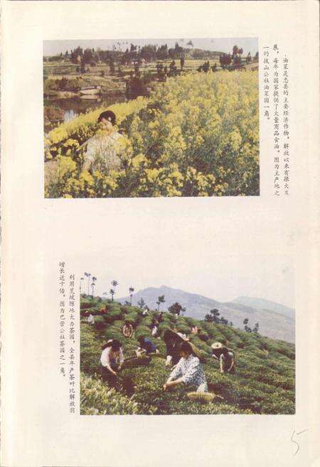 《四川省忠县地名录》.pdf电子版_重庆市志预览图5