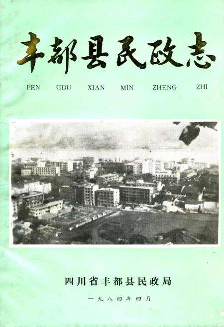 《丰都县民政志》.pdf电子版_重庆市志缩略图