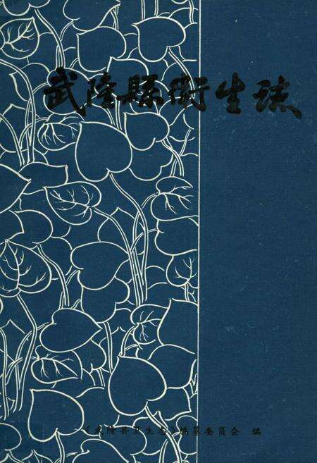 《武隆县卫生志》.pdf电子版_重庆市志缩略图