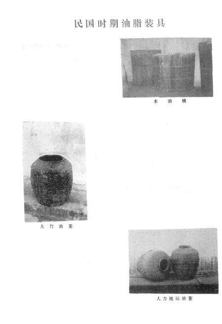 《开县粮食局志》.pdf电子版_重庆市志预览图2