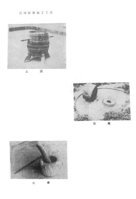 《开县粮食局志》.pdf电子版_重庆市志预览图3