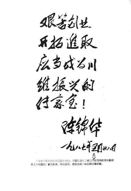 《川维厂志》.pdf电子版_重庆市志预览图5