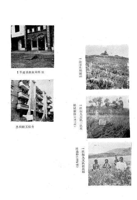 《农业局志》.pdf电子版_重庆市志预览图1