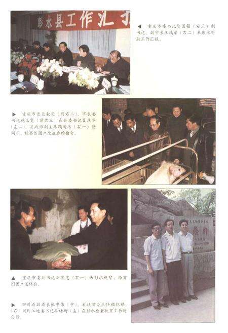 《彭水苗族土家族自治县扶贫开发志》.pdf电子版_重庆市志预览图5