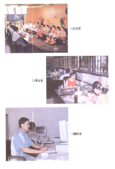 《中国人民银行彭水苗族土家族自治县支行志》.pdf电子版_重庆市志预览图3