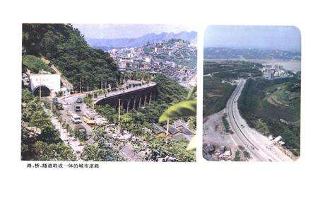 《重庆市市政环卫建设志》.pdf电子版_重庆市志预览图5
