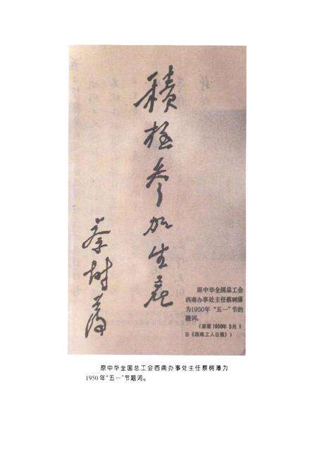 《重庆市总工会志》.pdf电子版_重庆市志预览图5