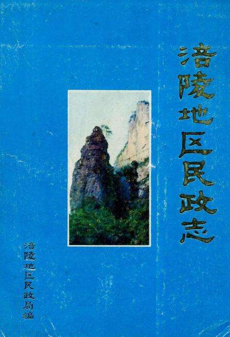 《涪陵地区民政志》.pdf电子版_重庆市志缩略图