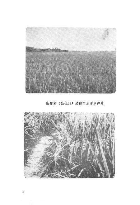 《涪陵地区农业局志》.pdf电子版_重庆市志预览图3