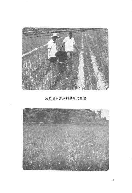 《涪陵地区农业局志》.pdf电子版_重庆市志预览图4