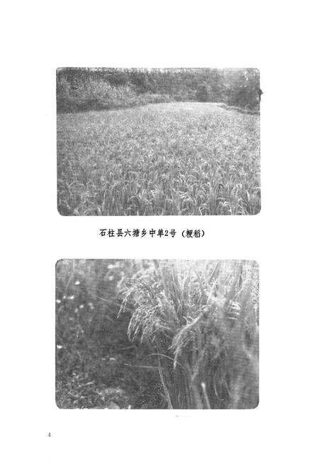 《涪陵地区农业局志》.pdf电子版_重庆市志预览图5