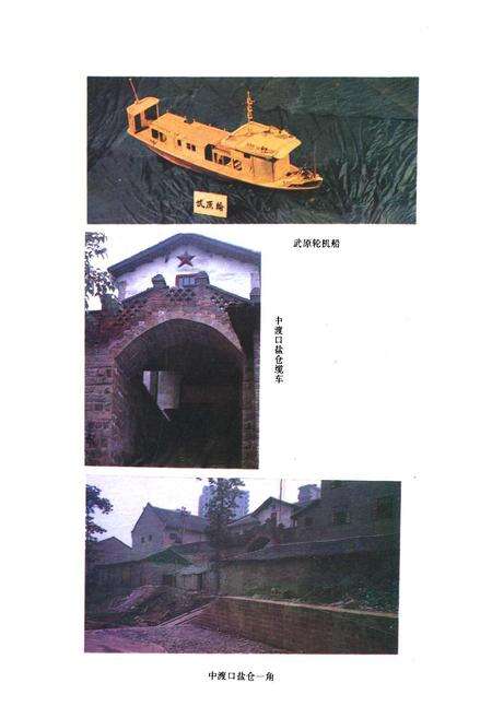 《涪陵地区盐业志》.pdf电子版_重庆市志预览图4