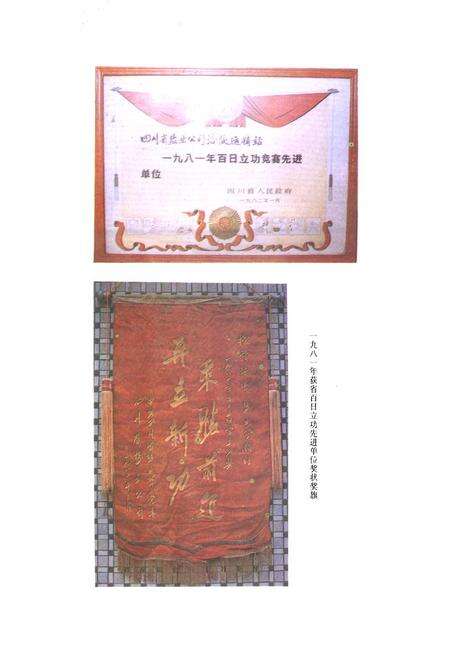 《涪陵地区盐业志》.pdf电子版_重庆市志预览图5