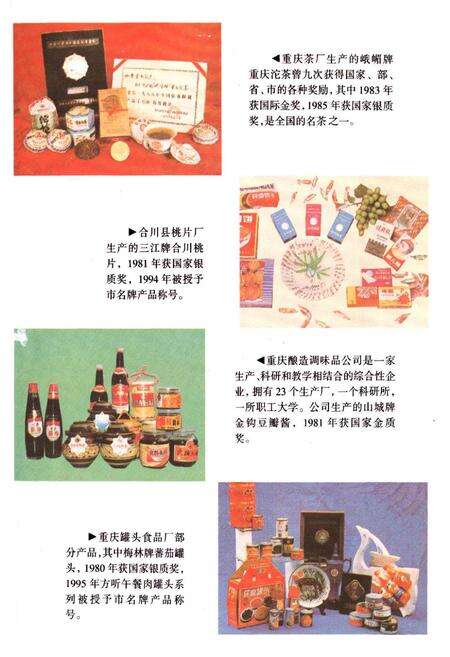 《重庆市食品工业志》.pdf电子版_重庆市志预览图5