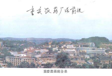 《重庆农药厂厂志》.pdf电子版_重庆市志预览图2