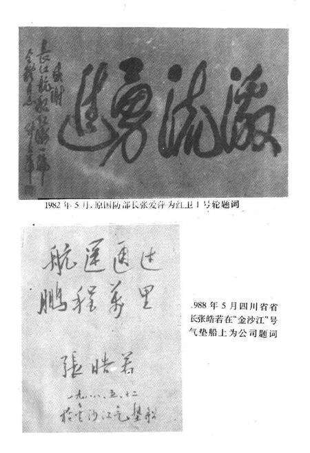 《四川省重庆轮船总公司志》.pdf电子版_重庆市志预览图2