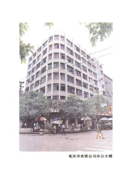 《重庆市农业生产资料商业志》.pdf电子版_重庆市志预览图3