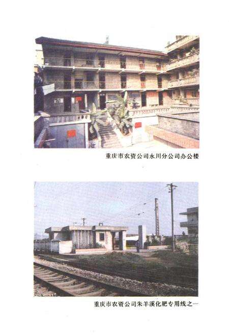 《重庆市农业生产资料商业志》.pdf电子版_重庆市志预览图5