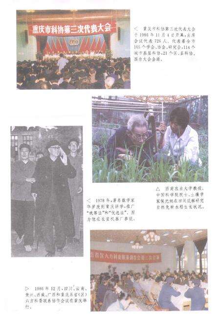 《重庆市科学技术志》.pdf电子版_重庆市志预览图5