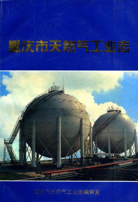 《重庆市天然气工业志》.pdf电子版_重庆市志缩略图