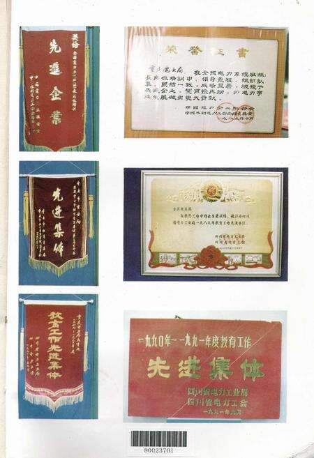 《重庆电业局教育志》.pdf电子版_重庆市志预览图5