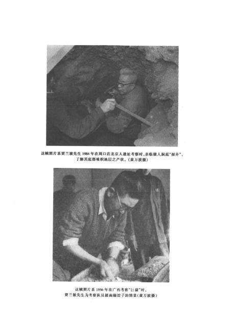 《龙骨坡史前文化志》.pdf电子版_重庆市志预览图4