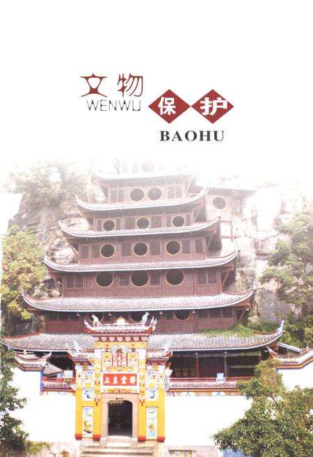 《忠县三峡移民志(二)》.pdf电子版_重庆市志预览图5