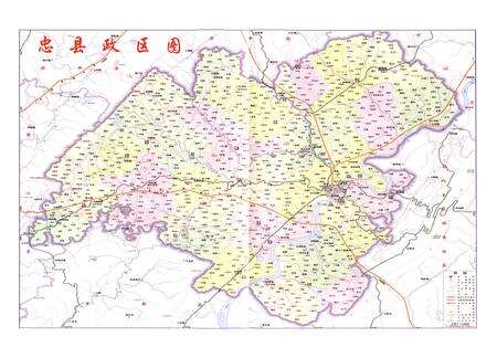 《忠县三峡移民志(一)》.pdf电子版_重庆市志预览图5