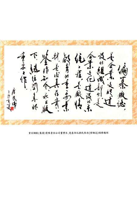 《重钢志(1986-2003)》.pdf电子版_重庆市志预览图2