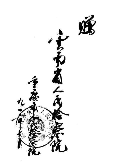 《重庆检察志(1911-1985)》.pdf电子版_重庆市志预览图2