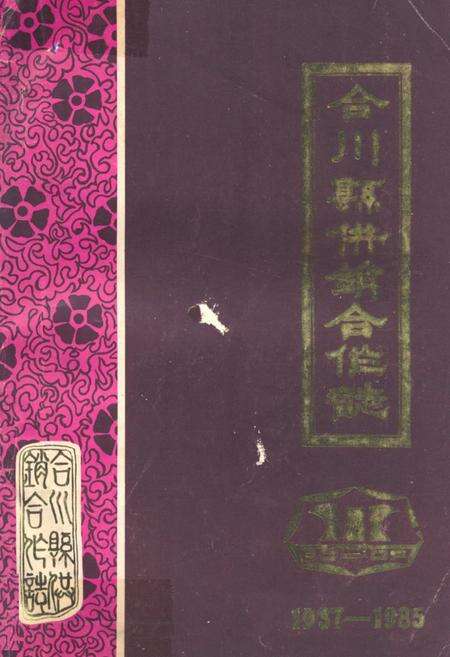《合川县供销合作志(1937-1985)》.pdf电子版_重庆市志缩略图