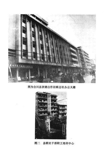 《合川县供销合作志(1937-1985)》.pdf电子版_重庆市志预览图5