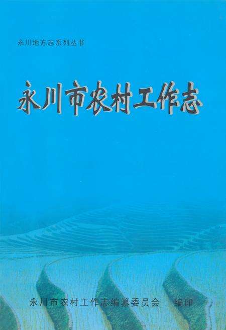 《永川市农村工作志》.pdf电子版_重庆市志缩略图