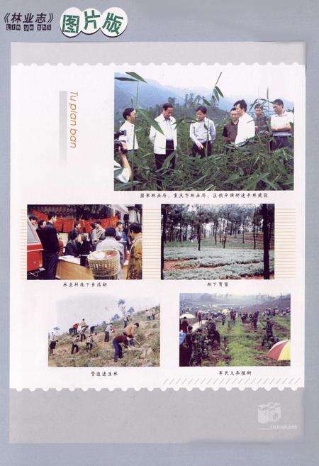 《永川市林业志(1986-2006)》.pdf电子版_重庆市志预览图1